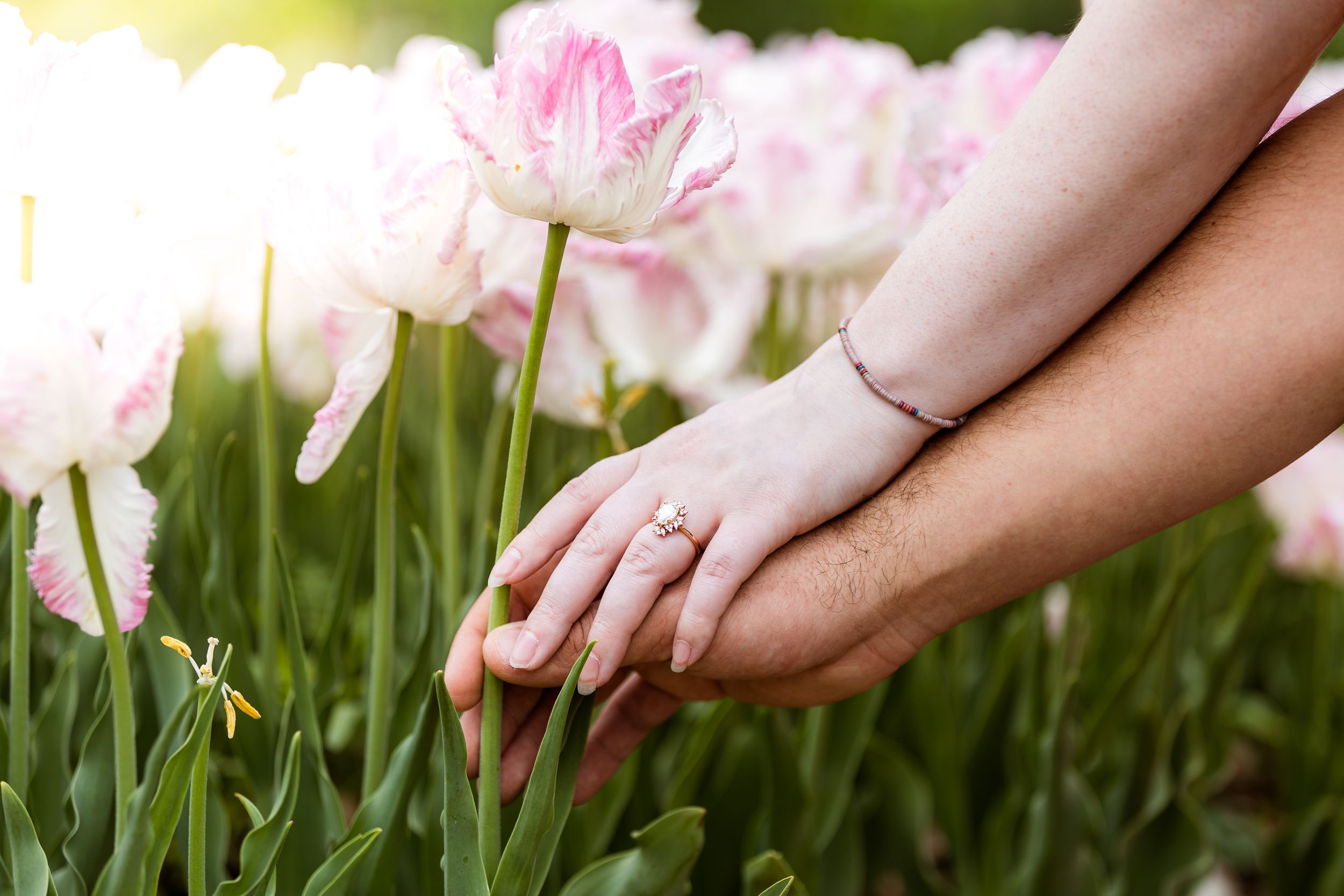 A delicate pink tulip is gently held by fingers against a lush green background in a garden setting.