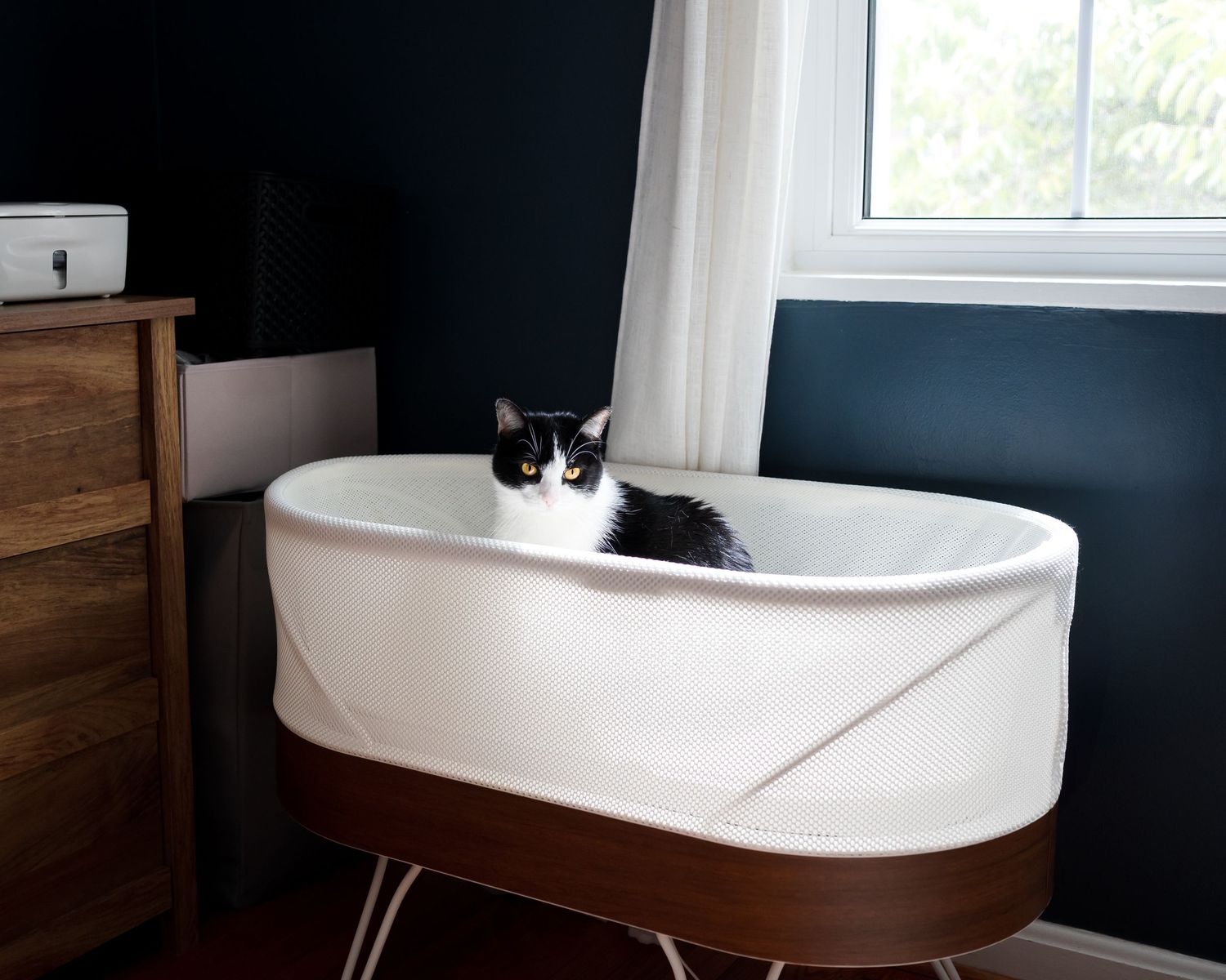 Black and white cat sitting inside a modern white bassinet with wooden legs near a window in a dark-walled room.