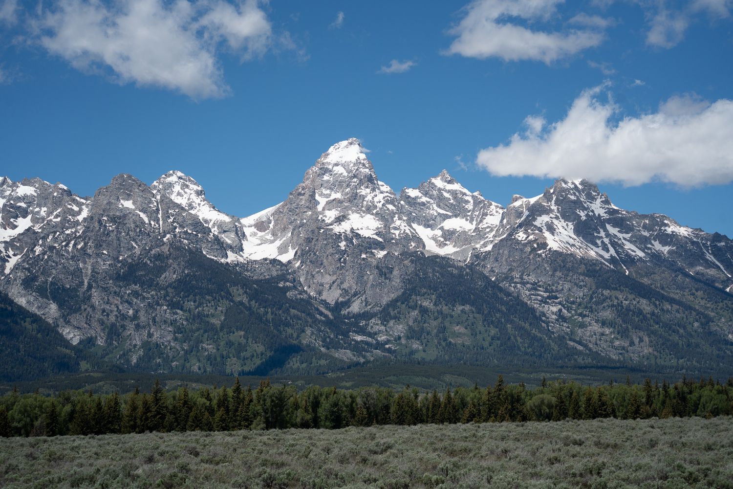 Snow-capped Grand Teton mountain range rises above green forest and sagebrush flats under a blue sky with clouds.