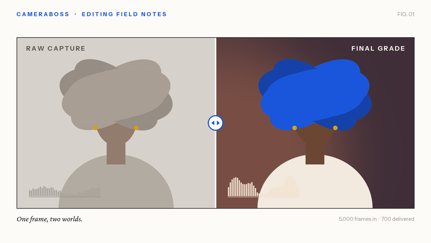 Split-screen comparison of raw capture versus final color grade showing illustrated figures with warm and cool tones.