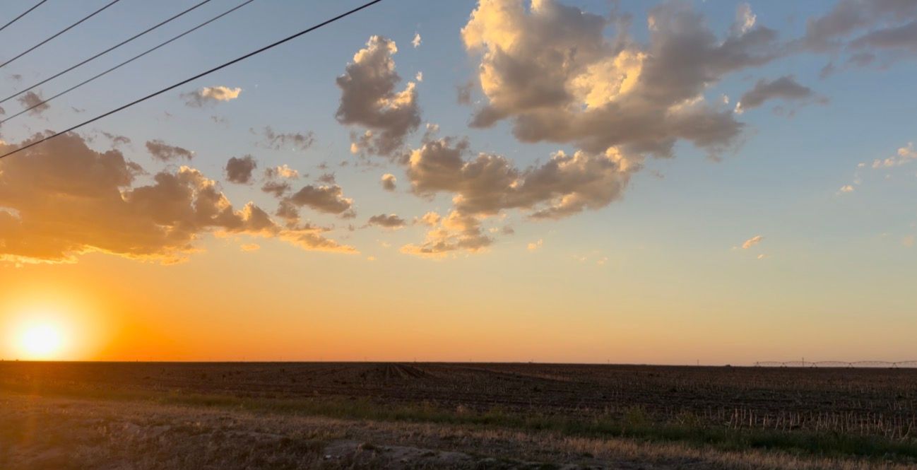 Golden sunset over flat farmland with dramatic clouds and power lines silhouetted against an orange sky.