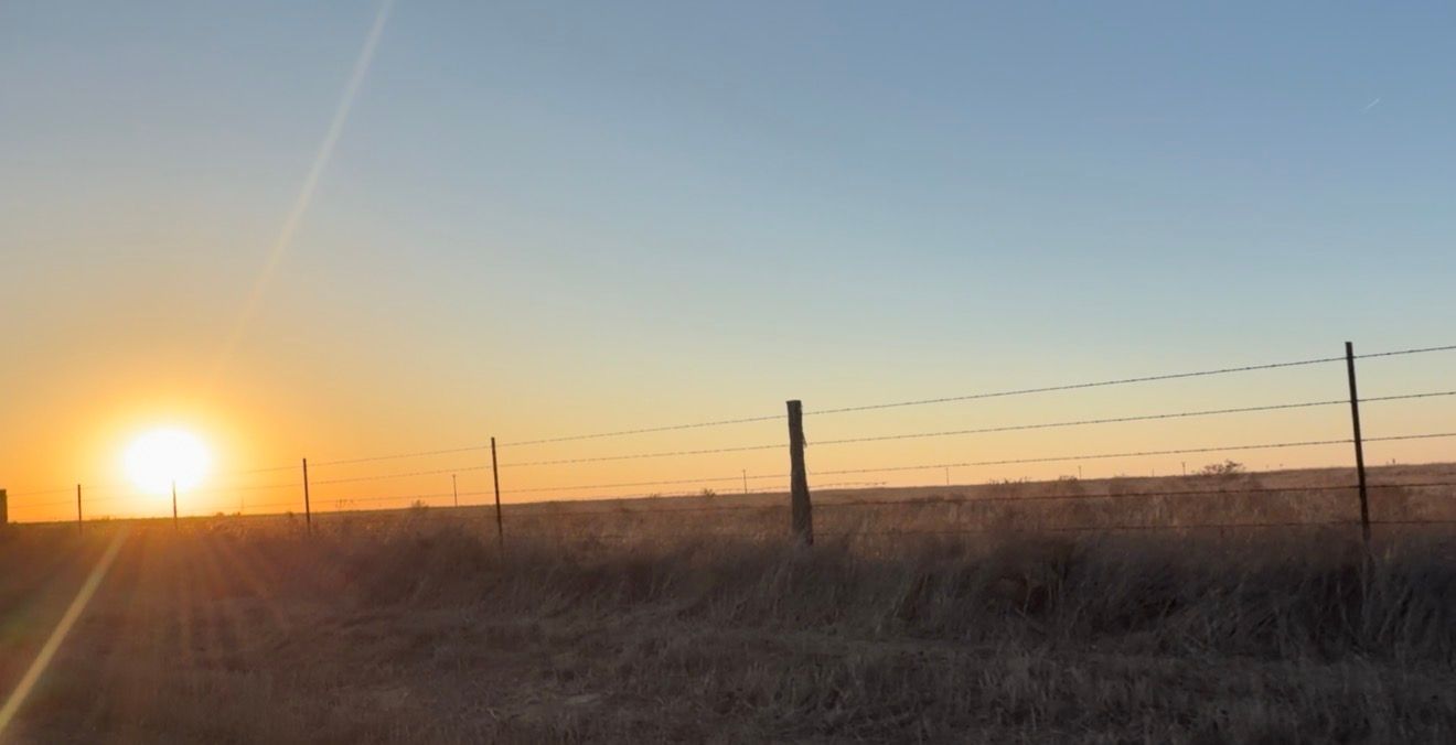 Golden sunset over a barbed wire fence in a vast rural field with dry grass under a clear blue sky.