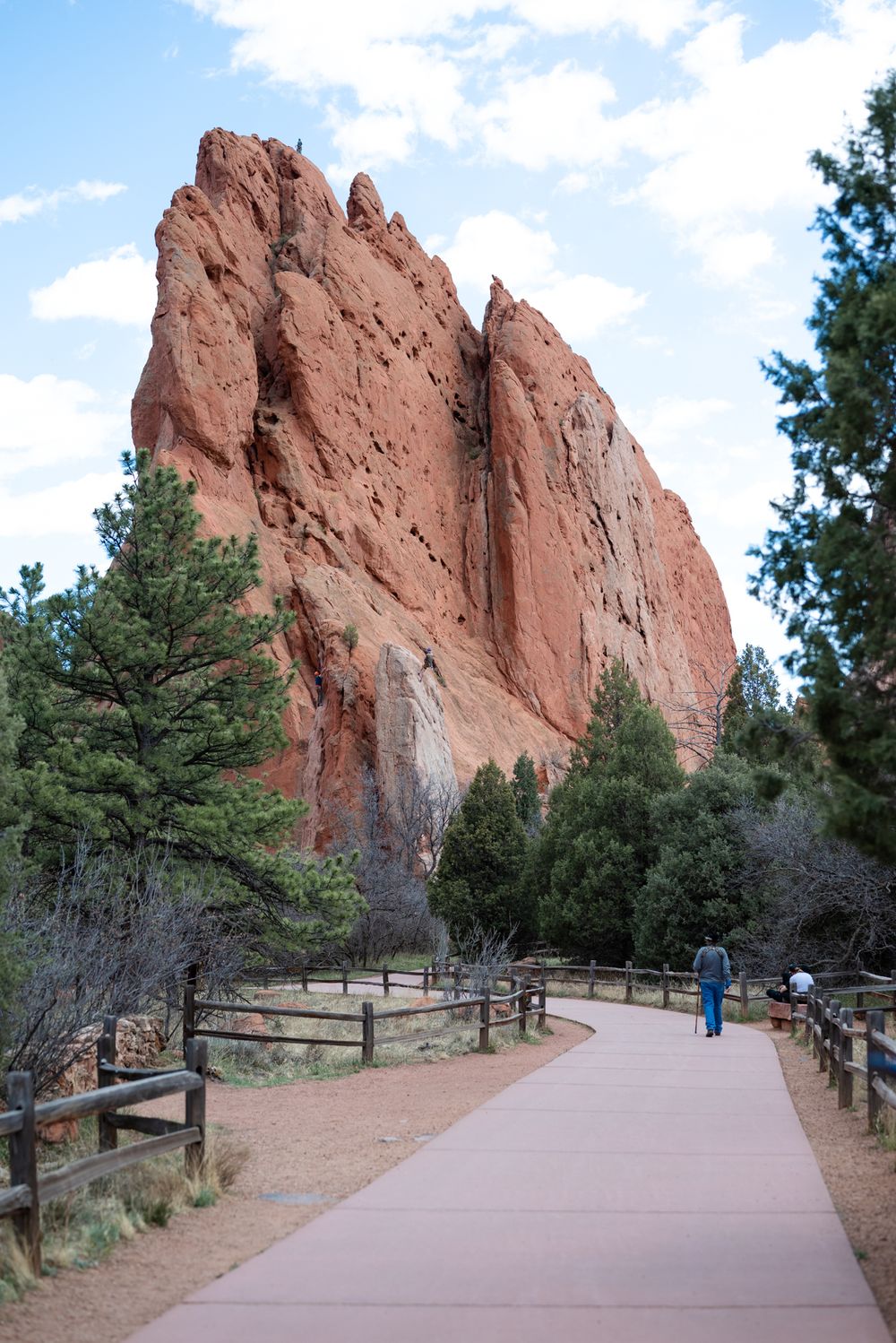 Garedn Red Rocks Garden of the Gods - Emilie Anne Photography