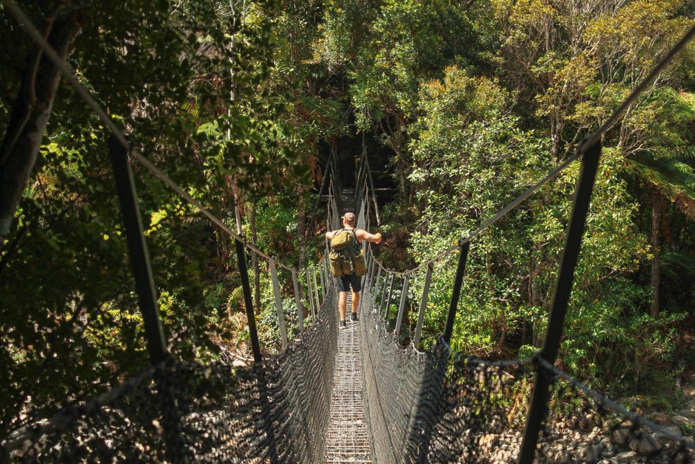 What's the difference? Tramping vs. Hiking. Selena Wright Creative