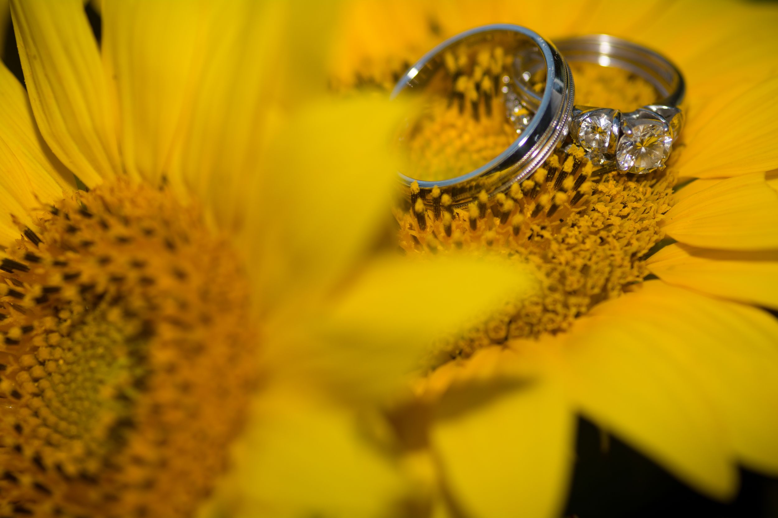 Kathryn & Charles Daniel Fischer Photography