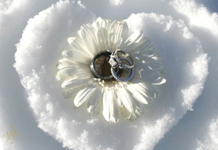 A white daisy flower nestled in pristine snow with delicate ice crystals forming around its petals.