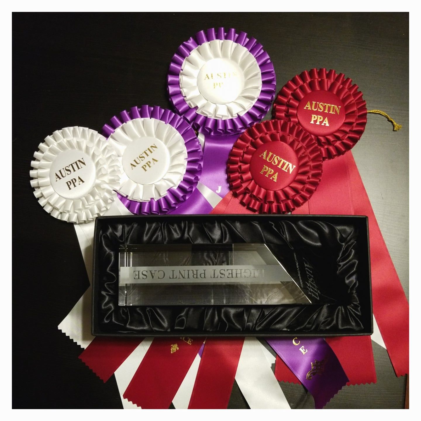 Photography awards and competition ribbons displayed by Austin newborn photographer