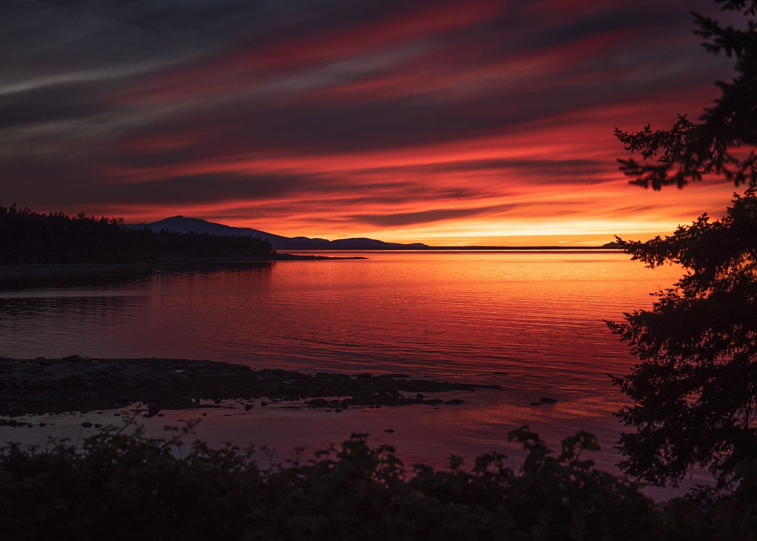 Dramatic red and orange sunset over mountain lake with silhouetted trees in foreground.