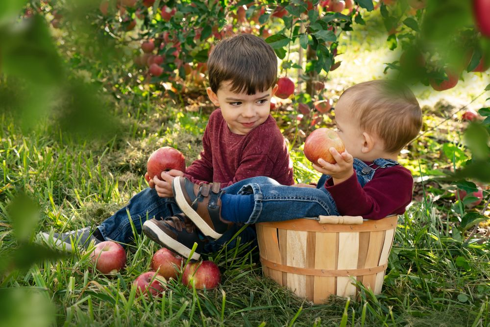 Apple Orchard Photoshoot Victoria Christine Photography