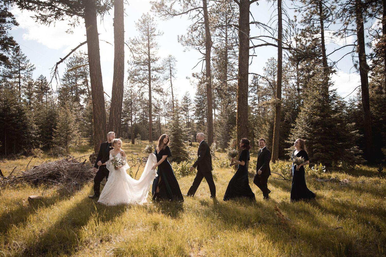 Wedding party silhouette walking through a sunlit pine forest.