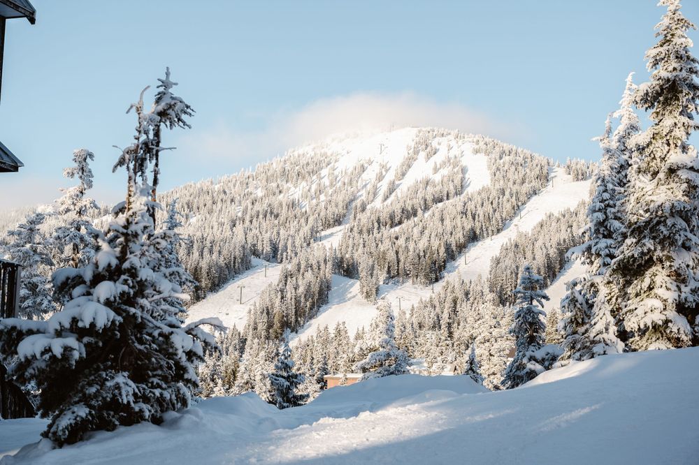 Skiing on Vancouver Island Driftwoods Photography