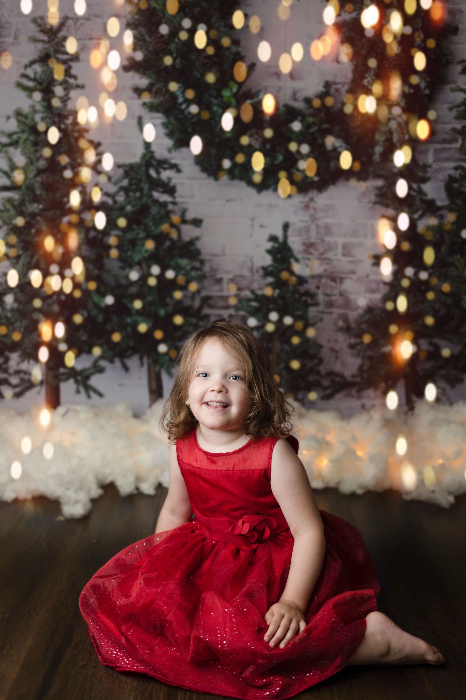 Christmas Mini Sessions. Family Photography. Christmas Photography. Milton Ontario 2022