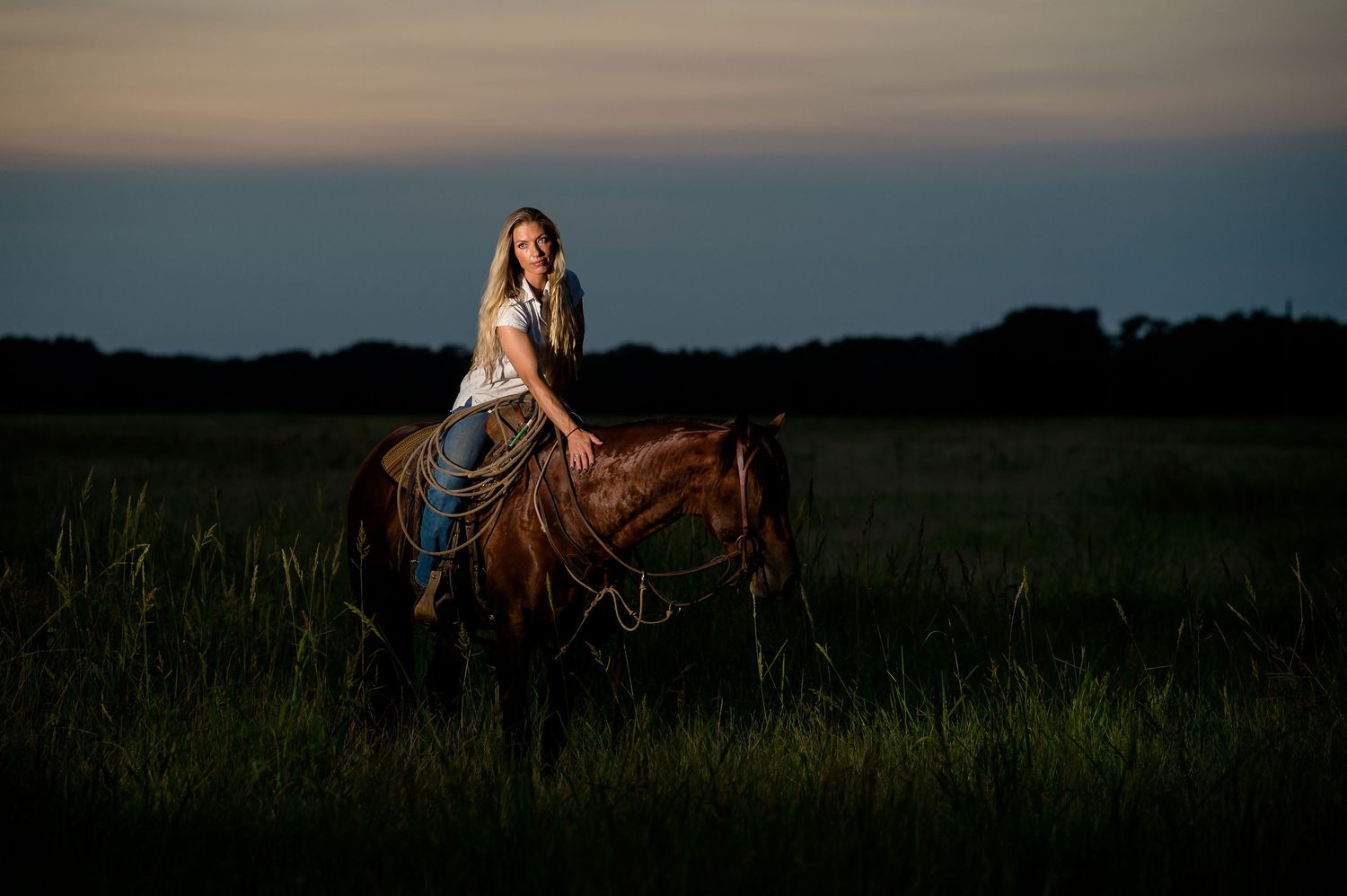A rider on horseback silhouetted against a dusky evening sky in an open field.