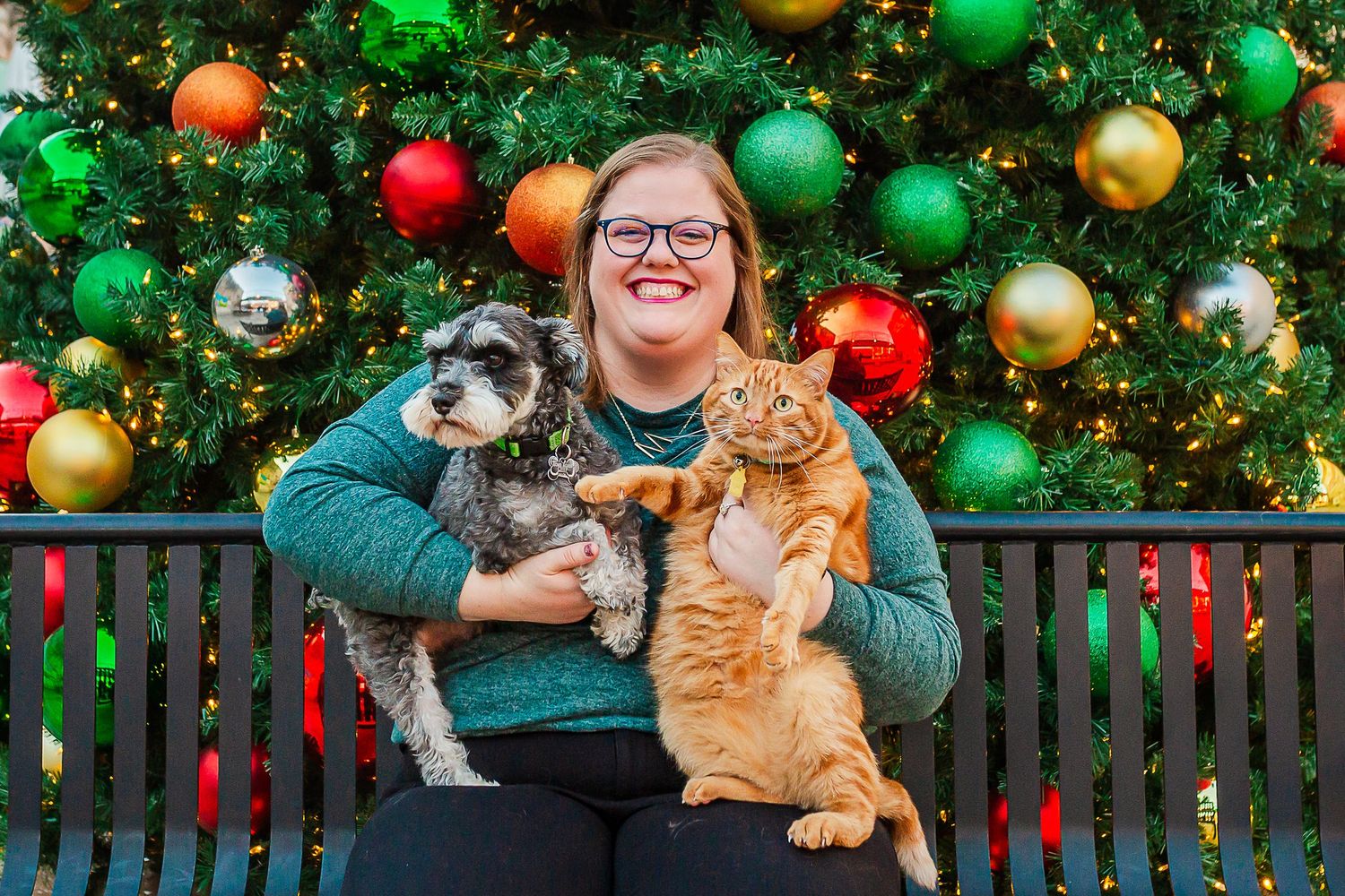 Person in green sweater holds cat and dog in front of decorated Christmas tree with colorful ornaments.