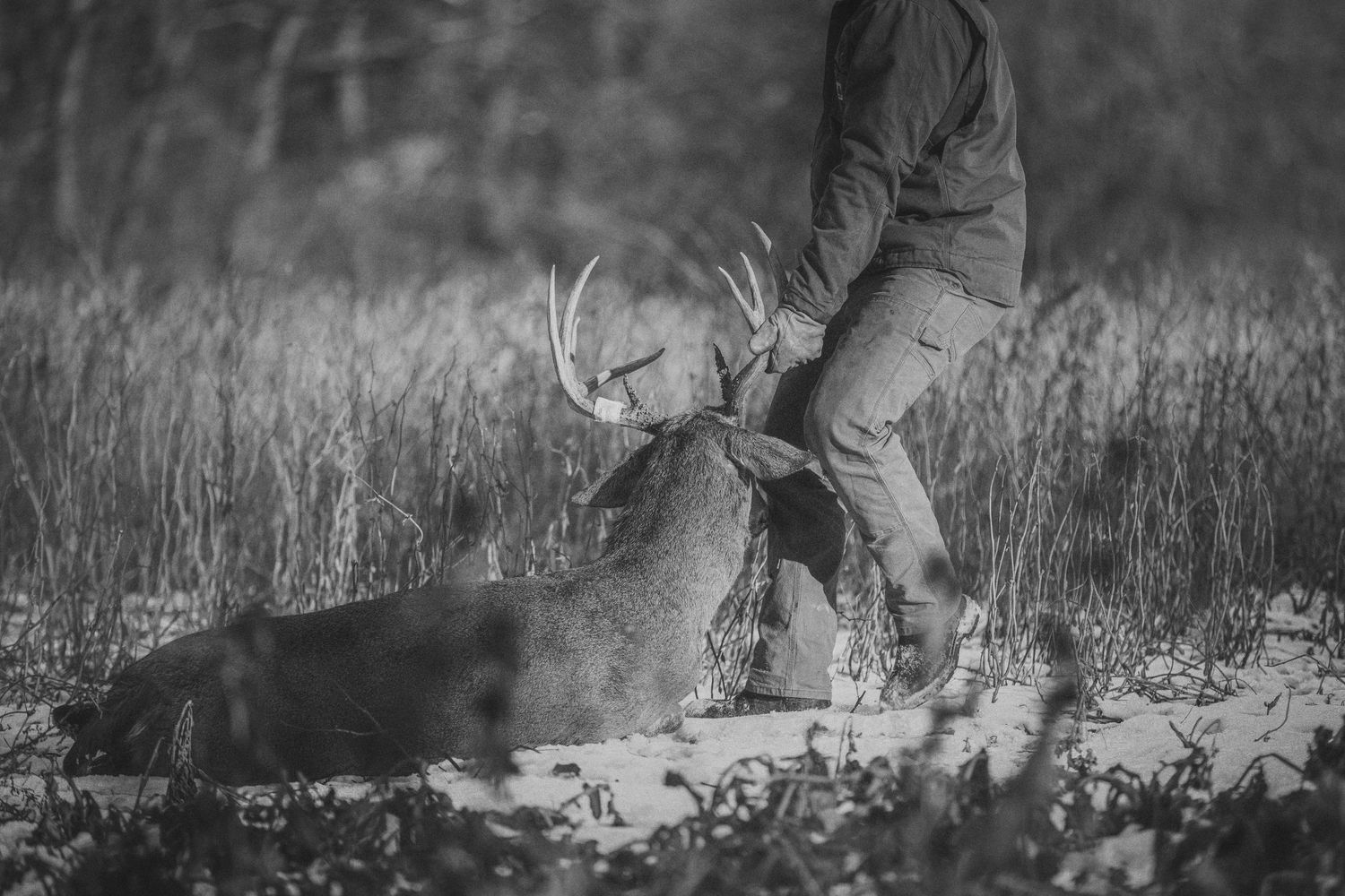 RAKK FUEL Jade Made LLC deere hunting in iowa