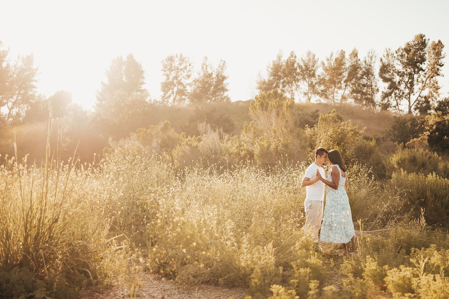 maternity session in a golden field