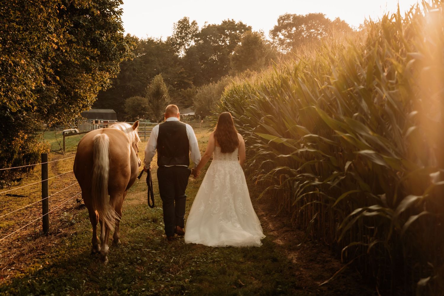 Couple walks with their horse along a countryside path at sunset beside a cornfield in golden light.