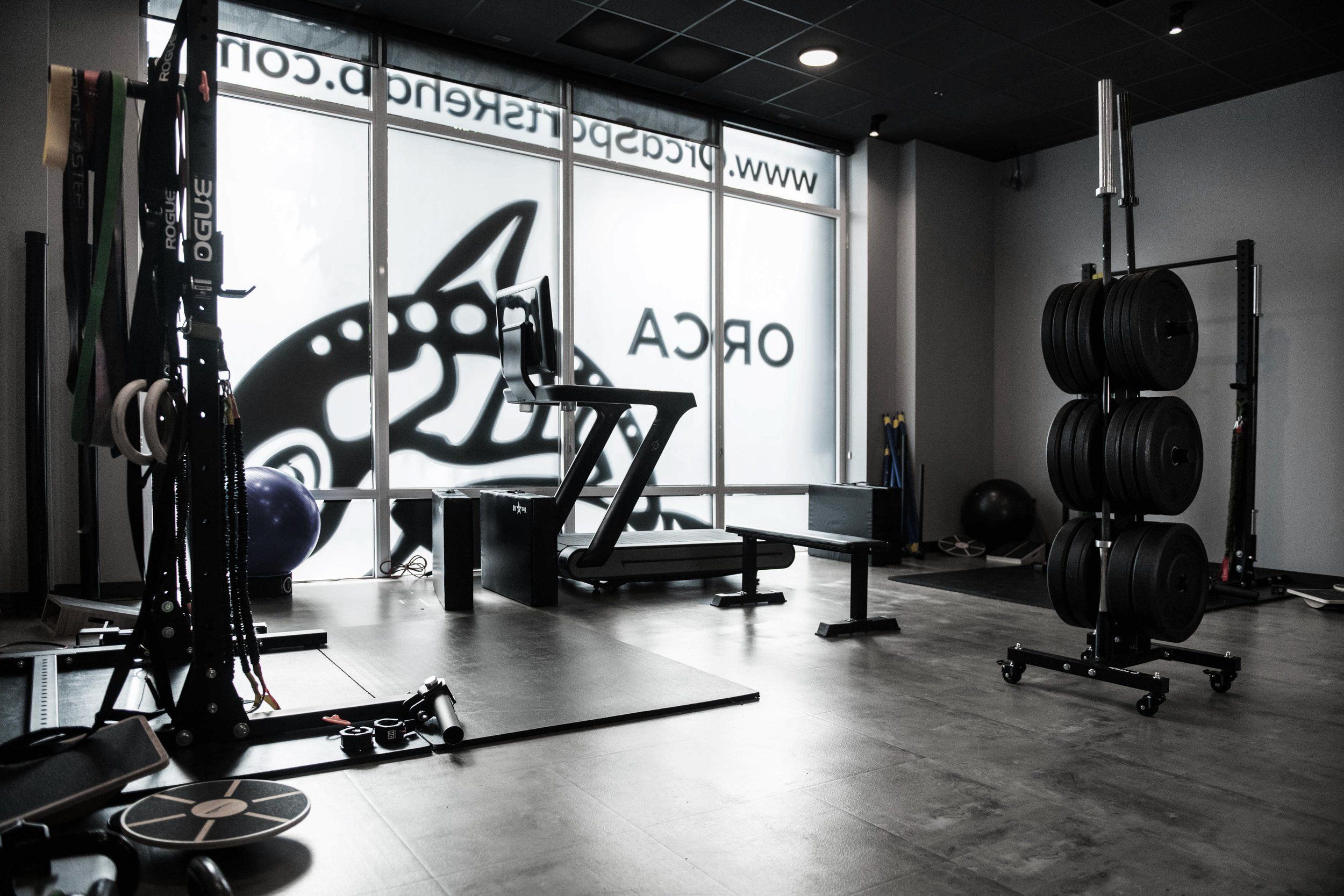 Black and white image of empty modern gym with workout equipment and wall graphics.