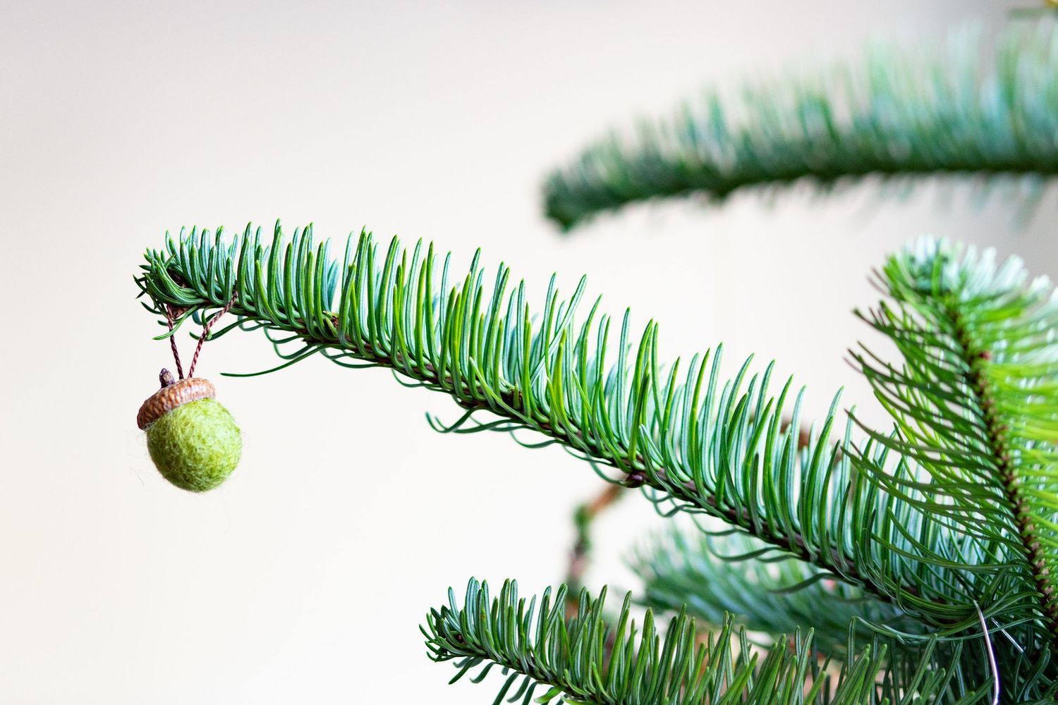 Green acorn ornament on a tree branch