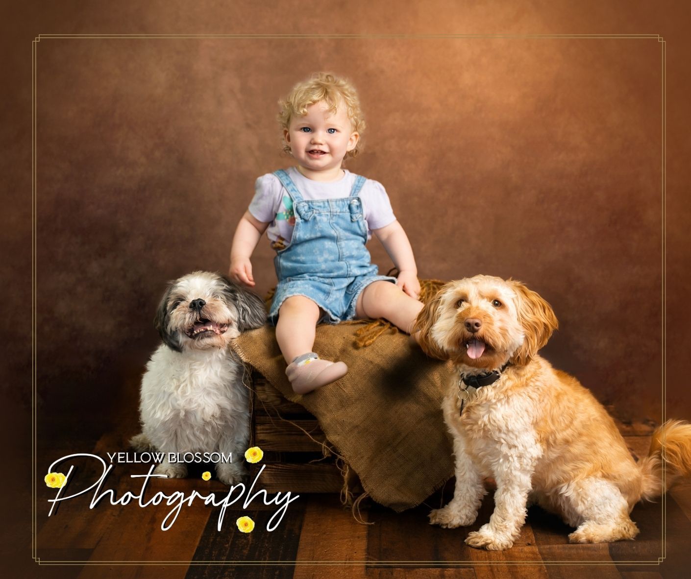 Family portrait progression showing a small child growing up alongside their beloved furry golden doodle companion.