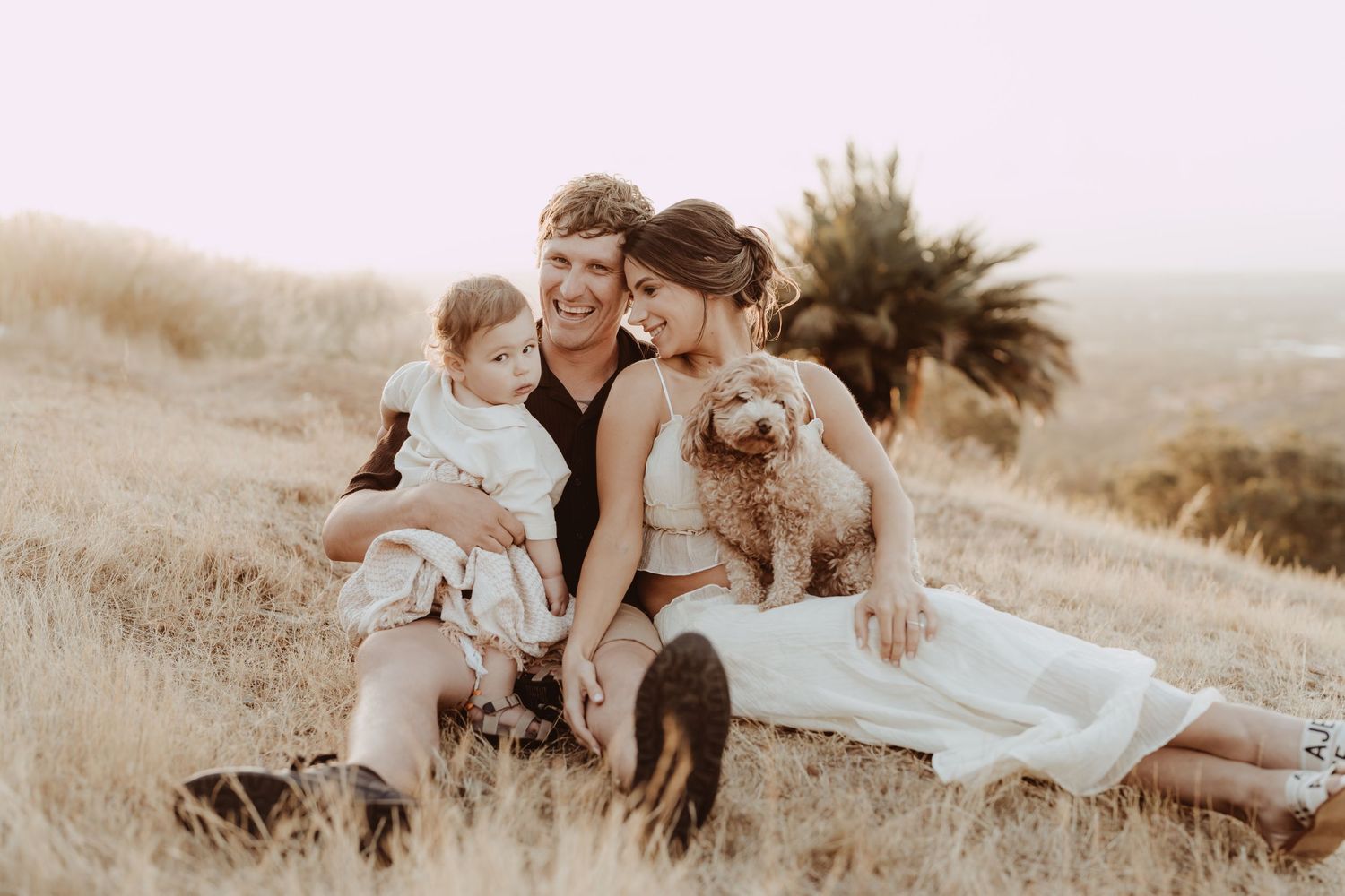 A series of romantic sepia-toned photos showing a couple embracing in a sunlit meadow at golden hour.