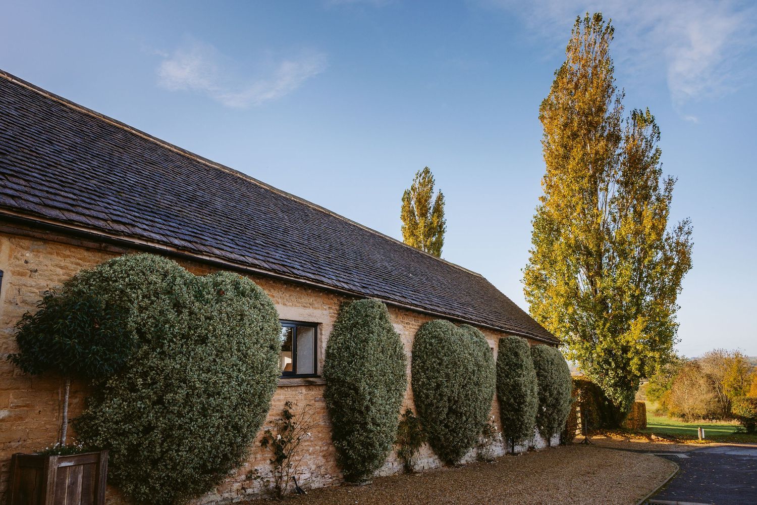 Merriscourt wedding venue stone barn building with ivy covered walls and tall poplar trees against blue autumn sky in countryside setting.