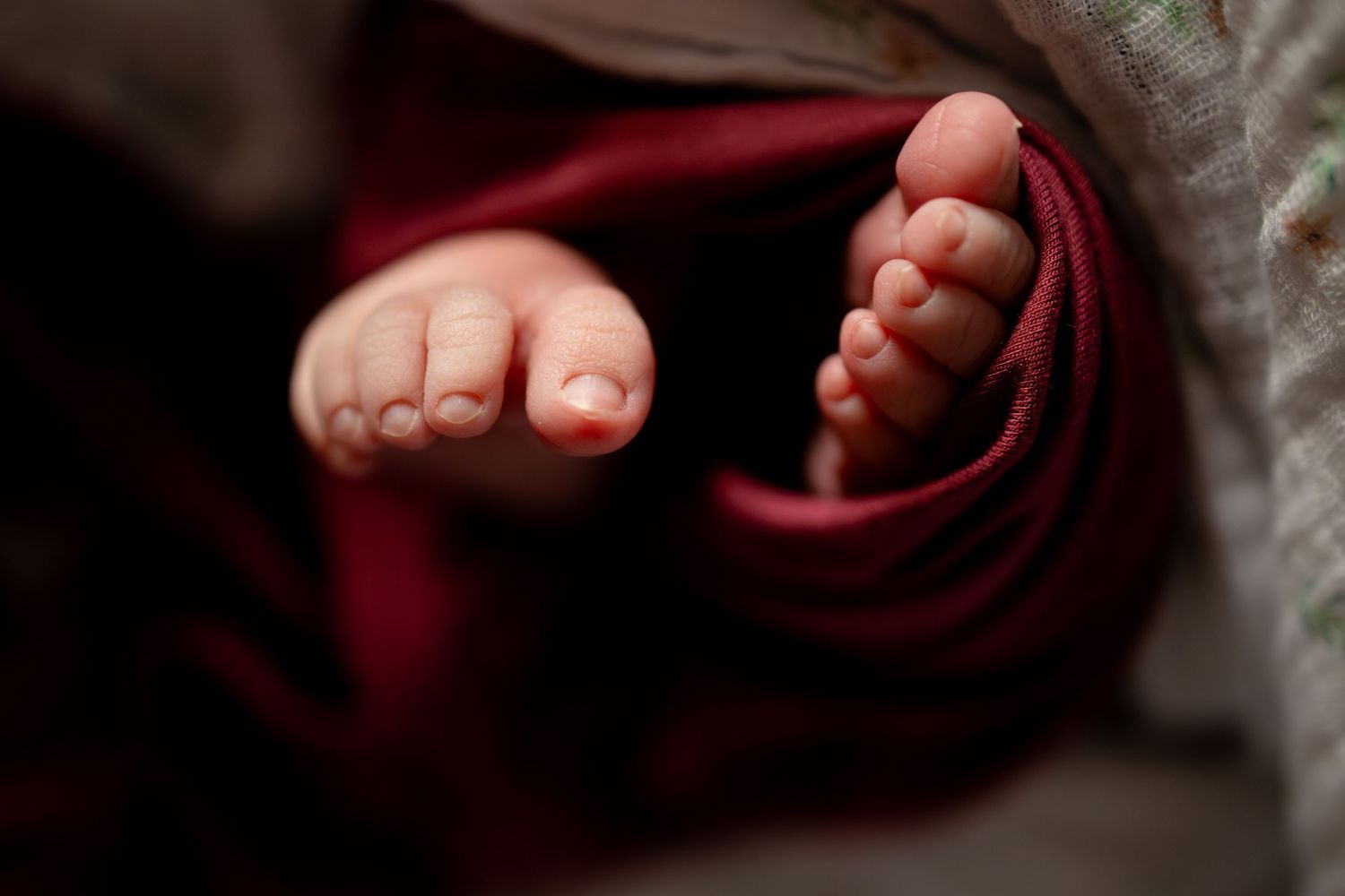 Close-up of newborn baby tiny feet wrapped in dark red swaddle blanket in soft light.
