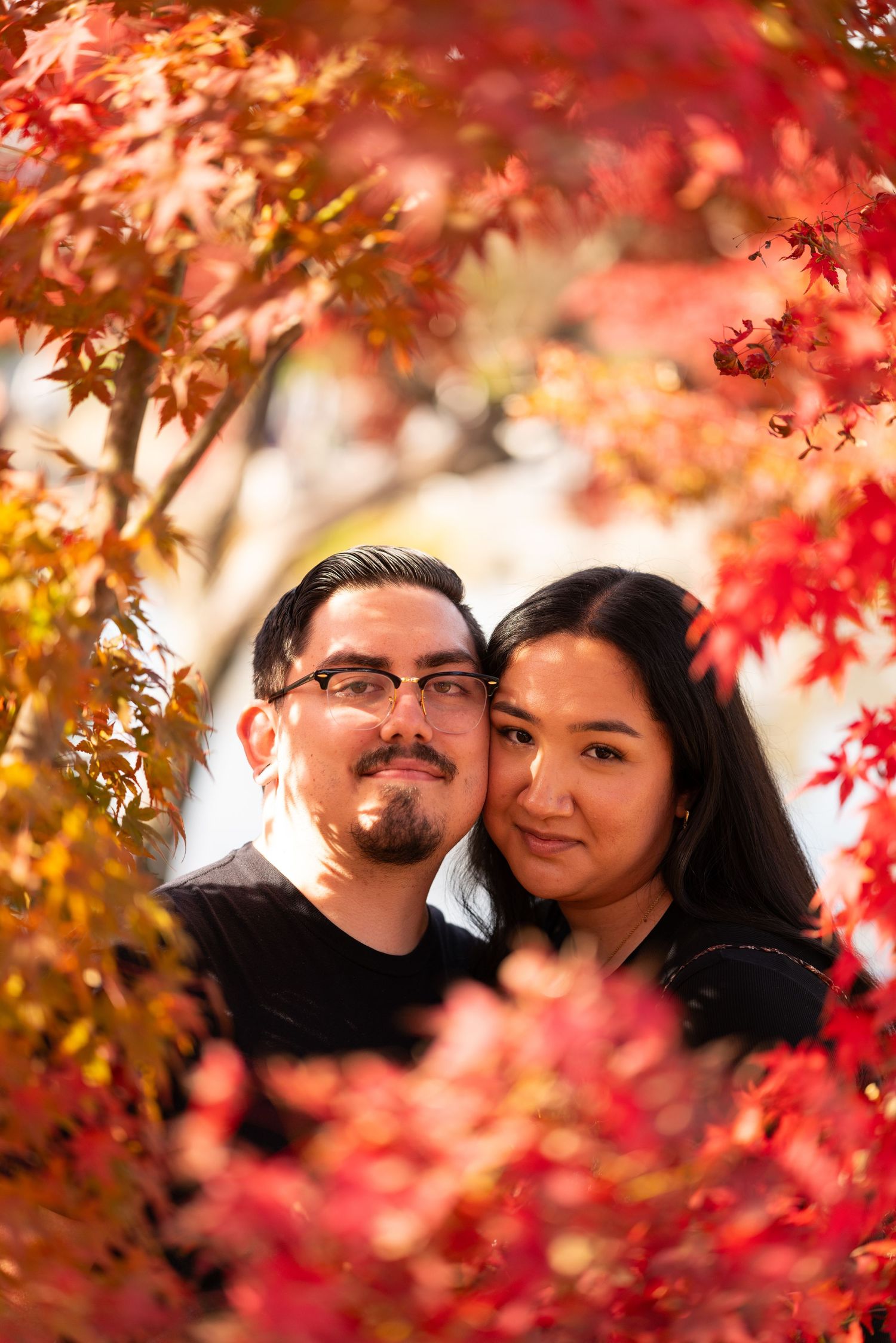 Romantic couple snuggled together framed by vibrant red and orange Japanese maple leaves in autumn.