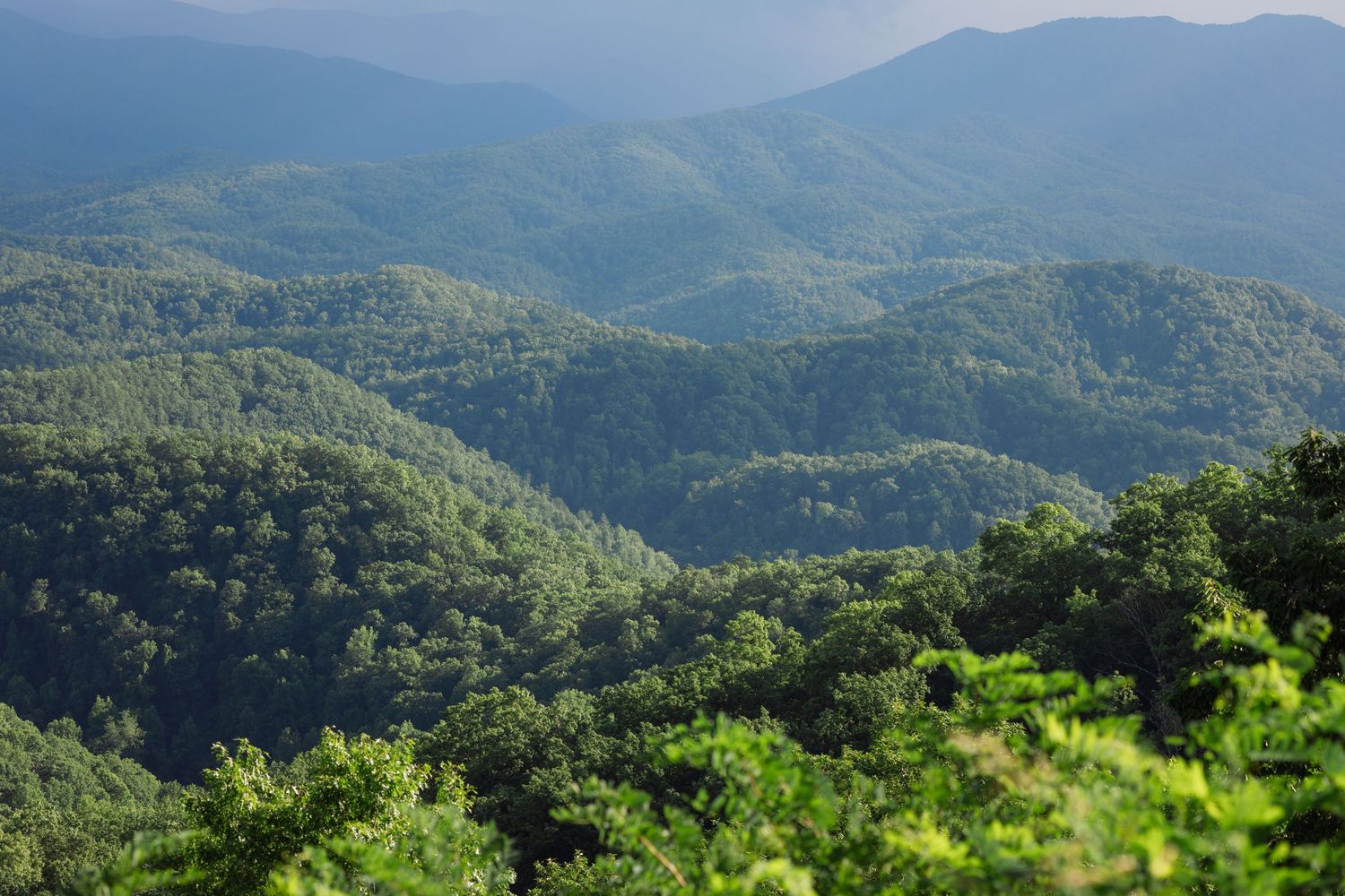 A panoramic mountain landscape view shows rolling green hills and forested peaks stretching into the distance under blue skies.