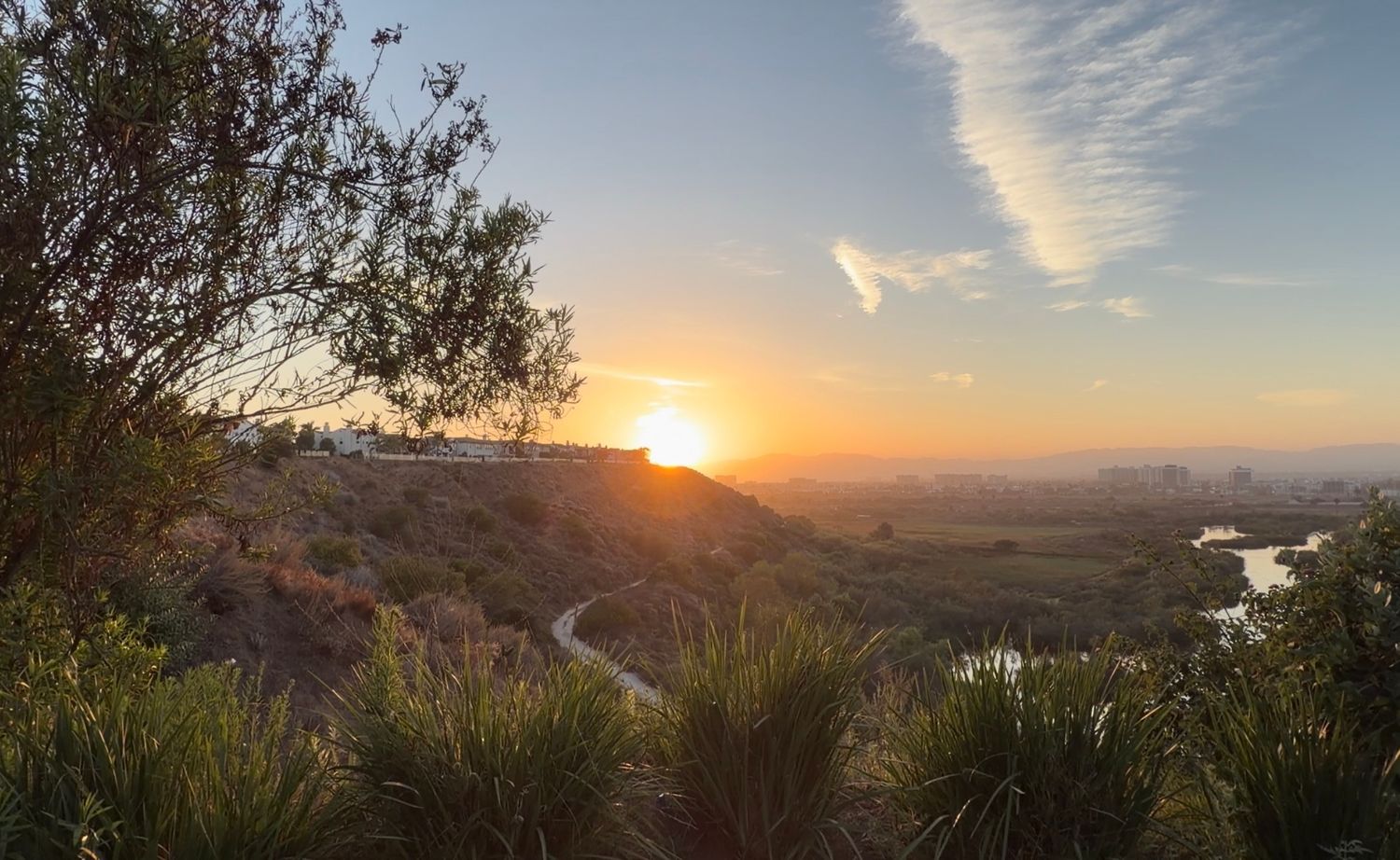 Scenic sunset panorama over a winding river valley with lush green shrubs and wispy clouds in a golden sky.