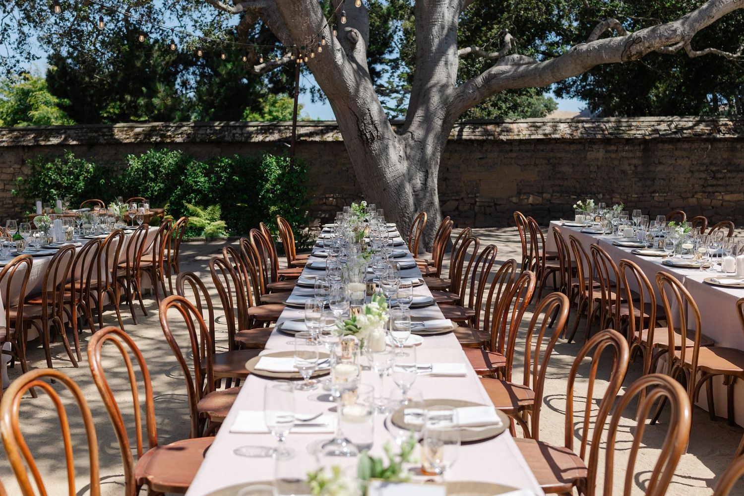 Long banquet tables set with white linens and wooden chairs under rustic trees for an elegant outdoor wedding reception.