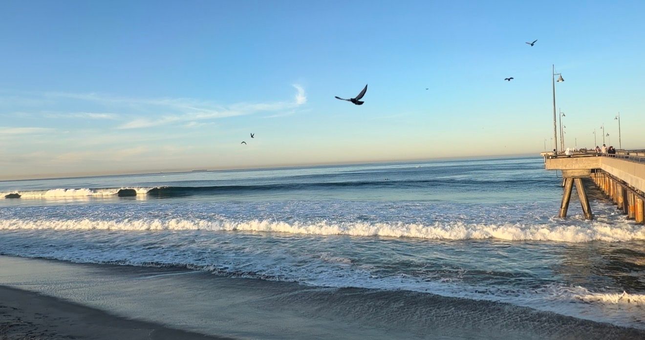 Panoramic collage of beach scenes showing seagulls flying over waves, sandy shores, and ocean views at different times of day.