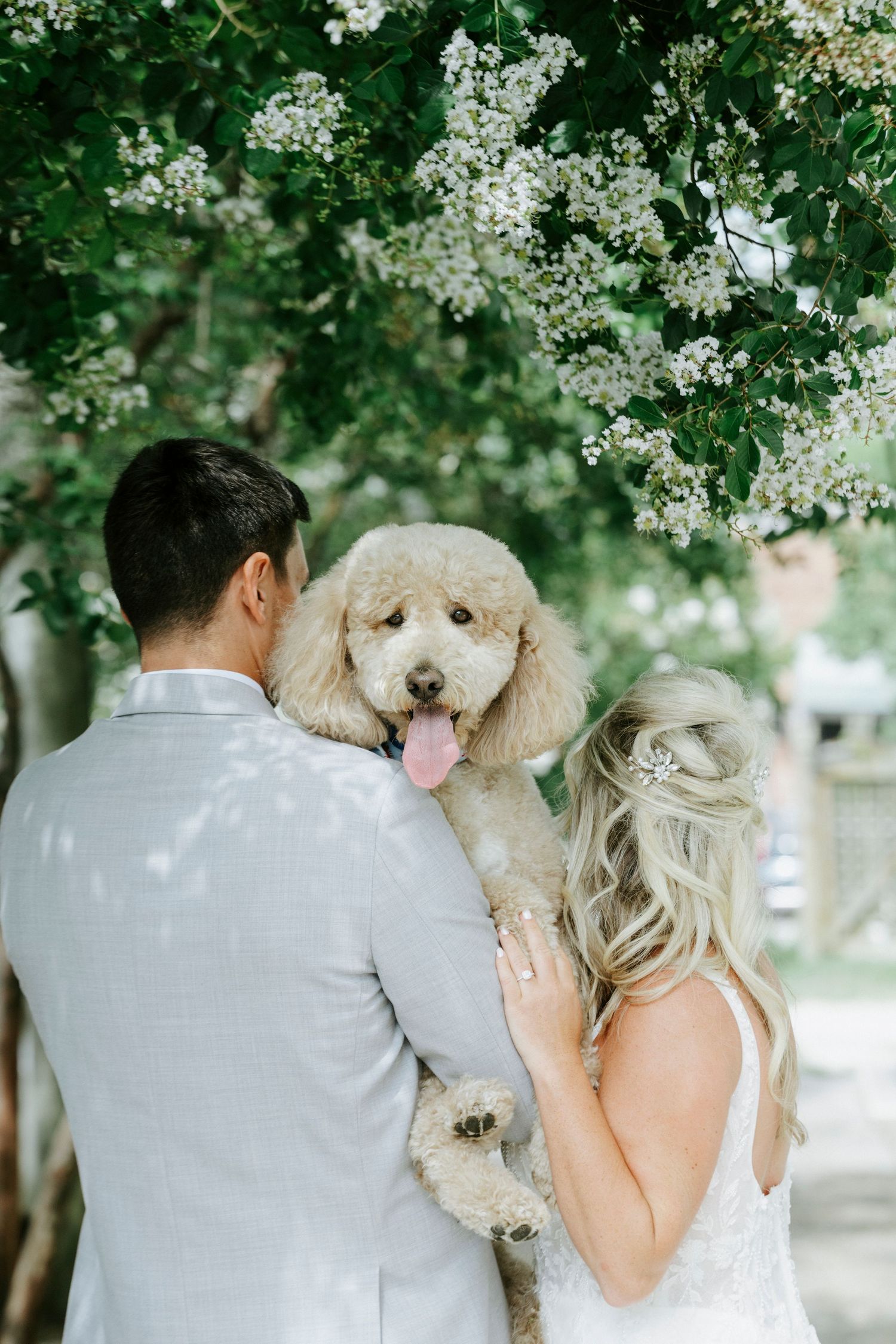 A smiling couple in wedding attire holds a fluffy golden doodle dog under blooming white flower trees outdoors.
