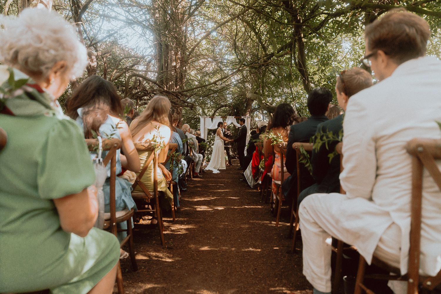 Wedding guests seated on wooden chairs along a dirt aisle watch an outdoor ceremony beneath tall trees as the bride stands in the distance.