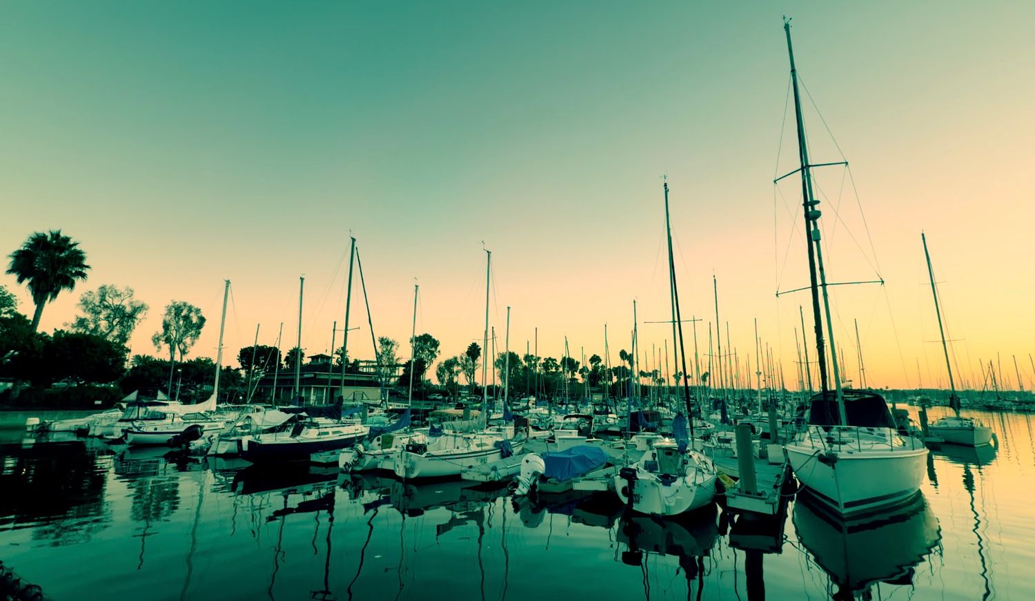 Sailboats docked at a marina during a serene sunset with palm trees and calm reflective waters.