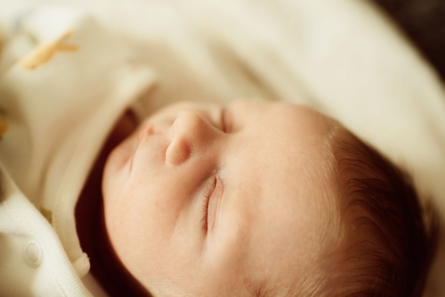Sheffield Newborn Photography