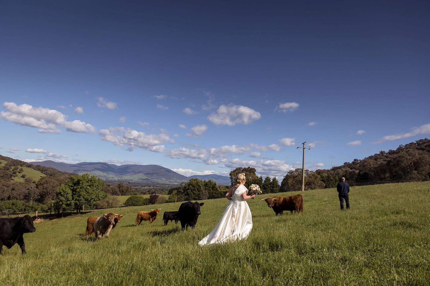 A couple poses in a green field with cattle grazing in the mountain landscape.