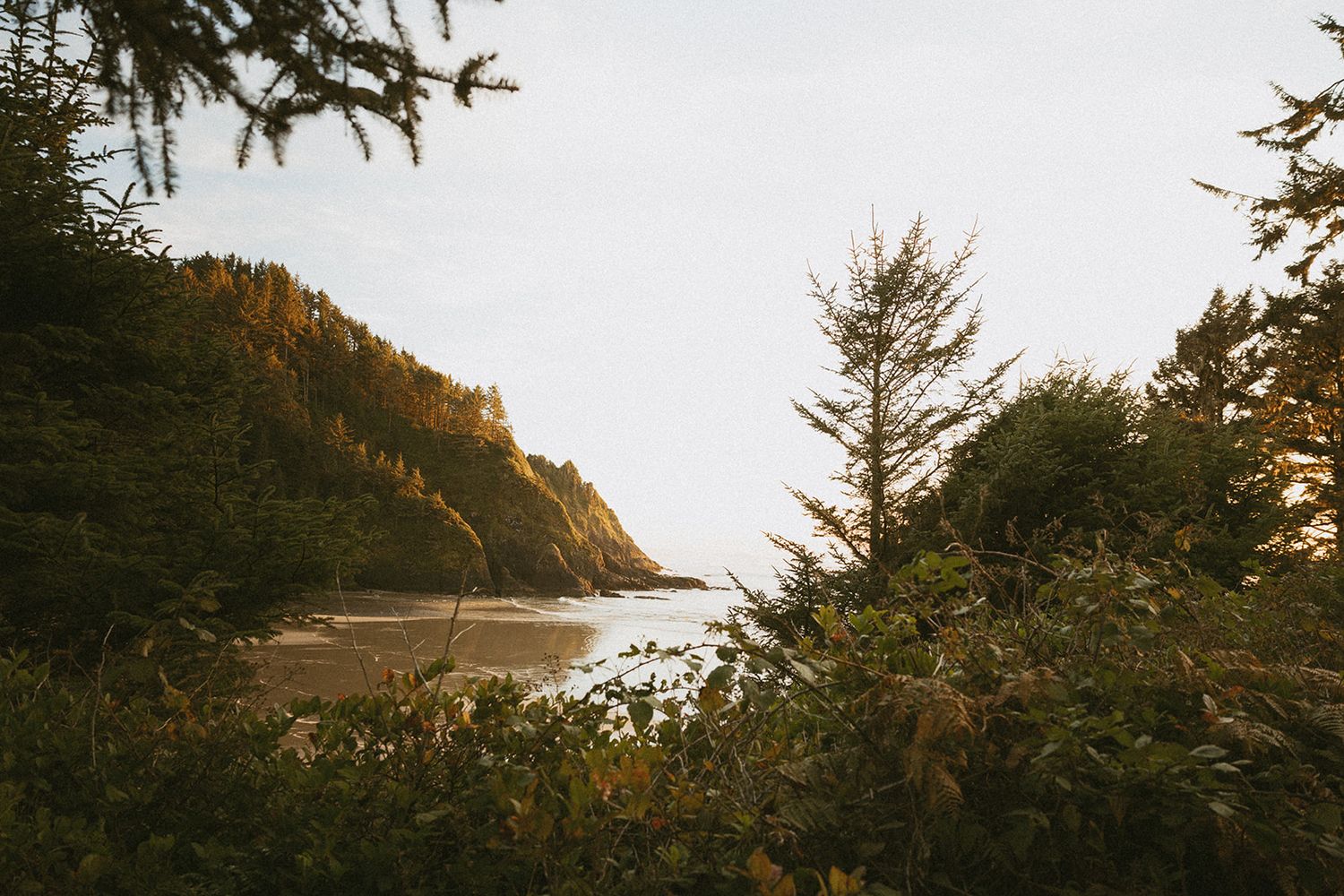 Scenic coastal view through lush green trees revealing a sandy beach and ocean inlet surrounded by forested cliffs.