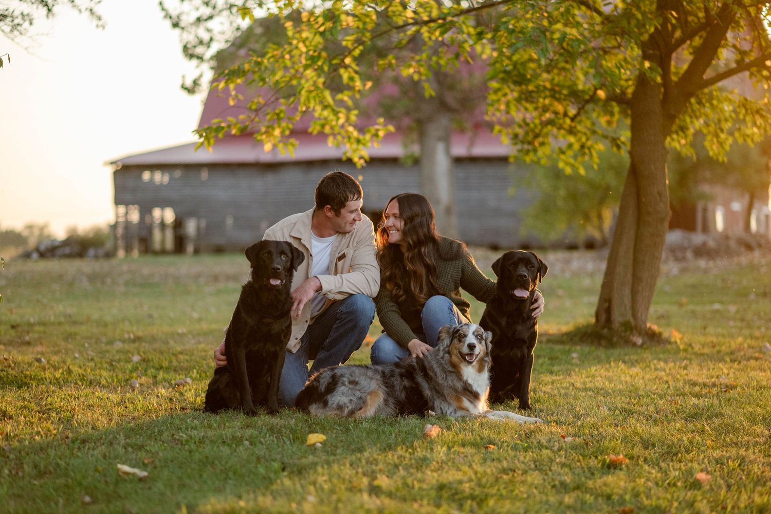 Couple sits with three dogs under autumn tree at golden hour near rustic barn farmhouse.