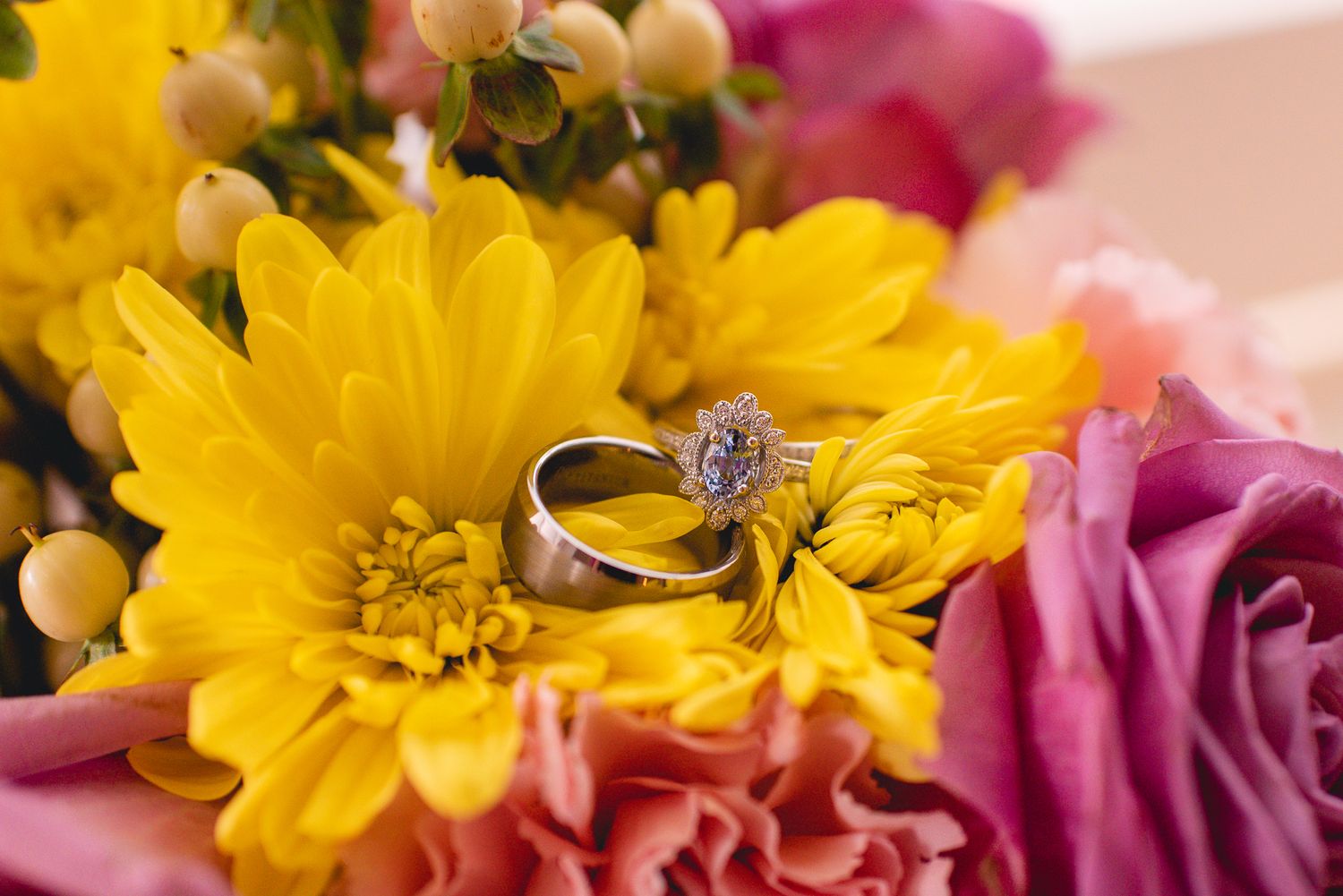 Wedding rings nestled on yellow daisy with pink and purple flowers in background.