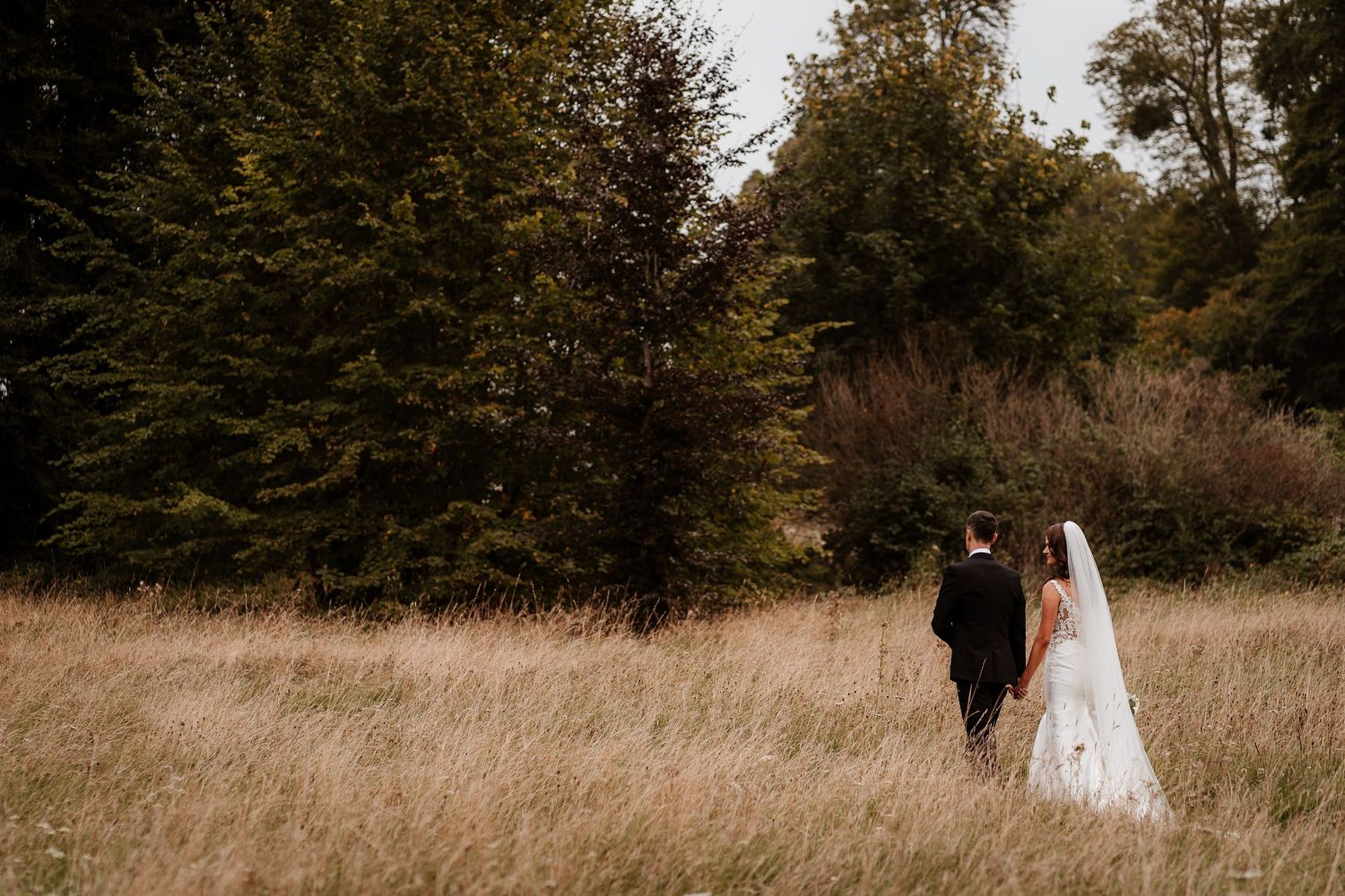 Wedding couple walking through a golden autumn field at sunset.