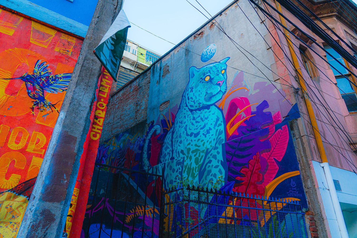 Bright colorful almost neon murals painted on alley walls. A flying hummingbird and a  yellow eyed blue jaguar face away