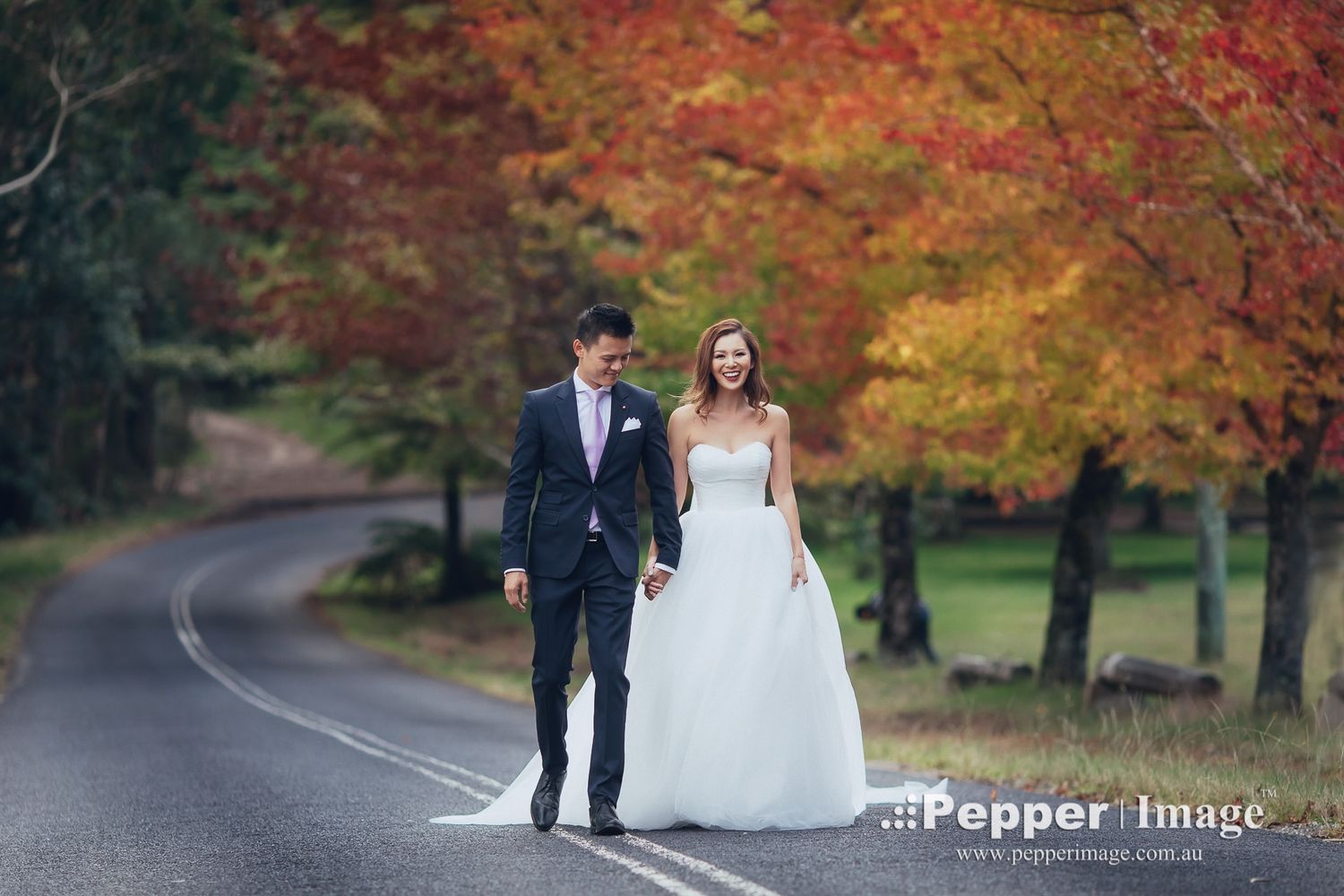 Pre-wedding Photo at Mt Wilson