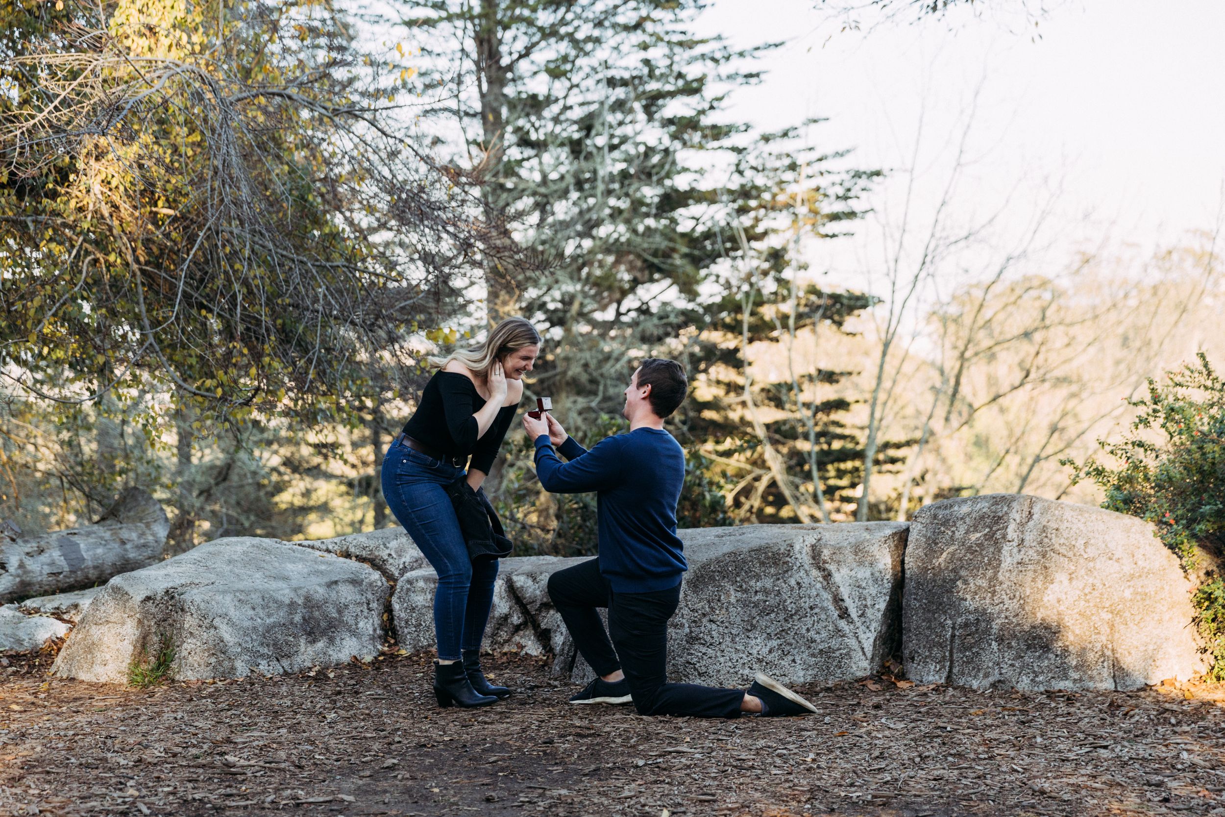 The Proposal: Estée Lalonde And Trevor Baum'S Romantic Story - qzuqvf1
