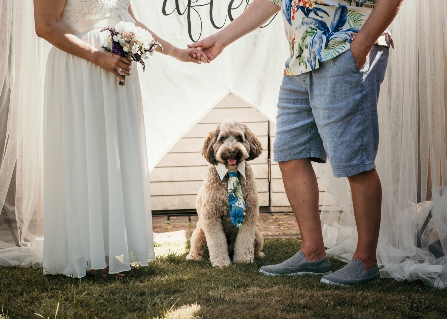 Dog in blue bandana poses between couple during outdoor wedding photoshoot.