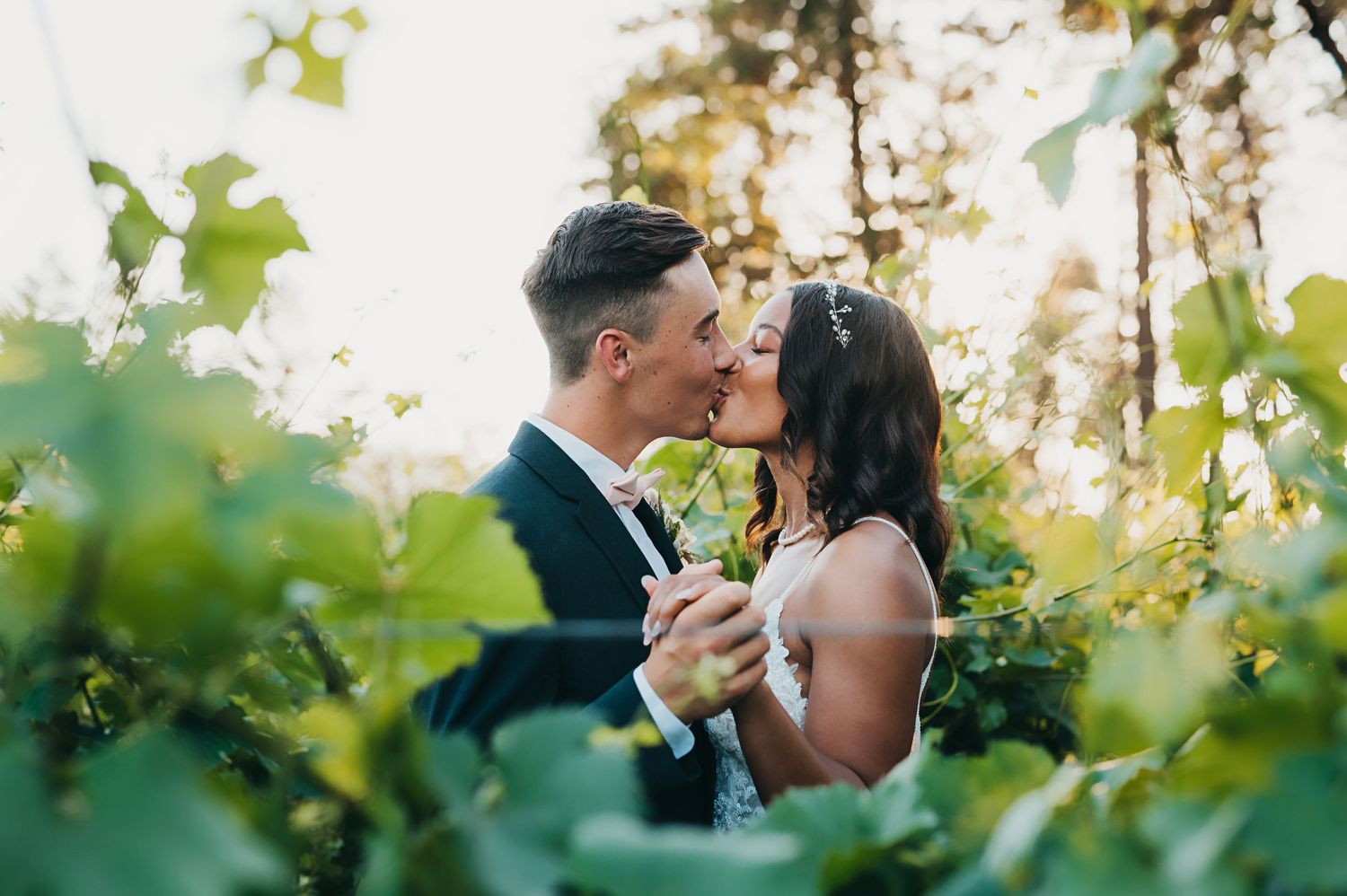 A romantic vineyard wedding photo with a couple kissing among lush green vines at golden hour.
