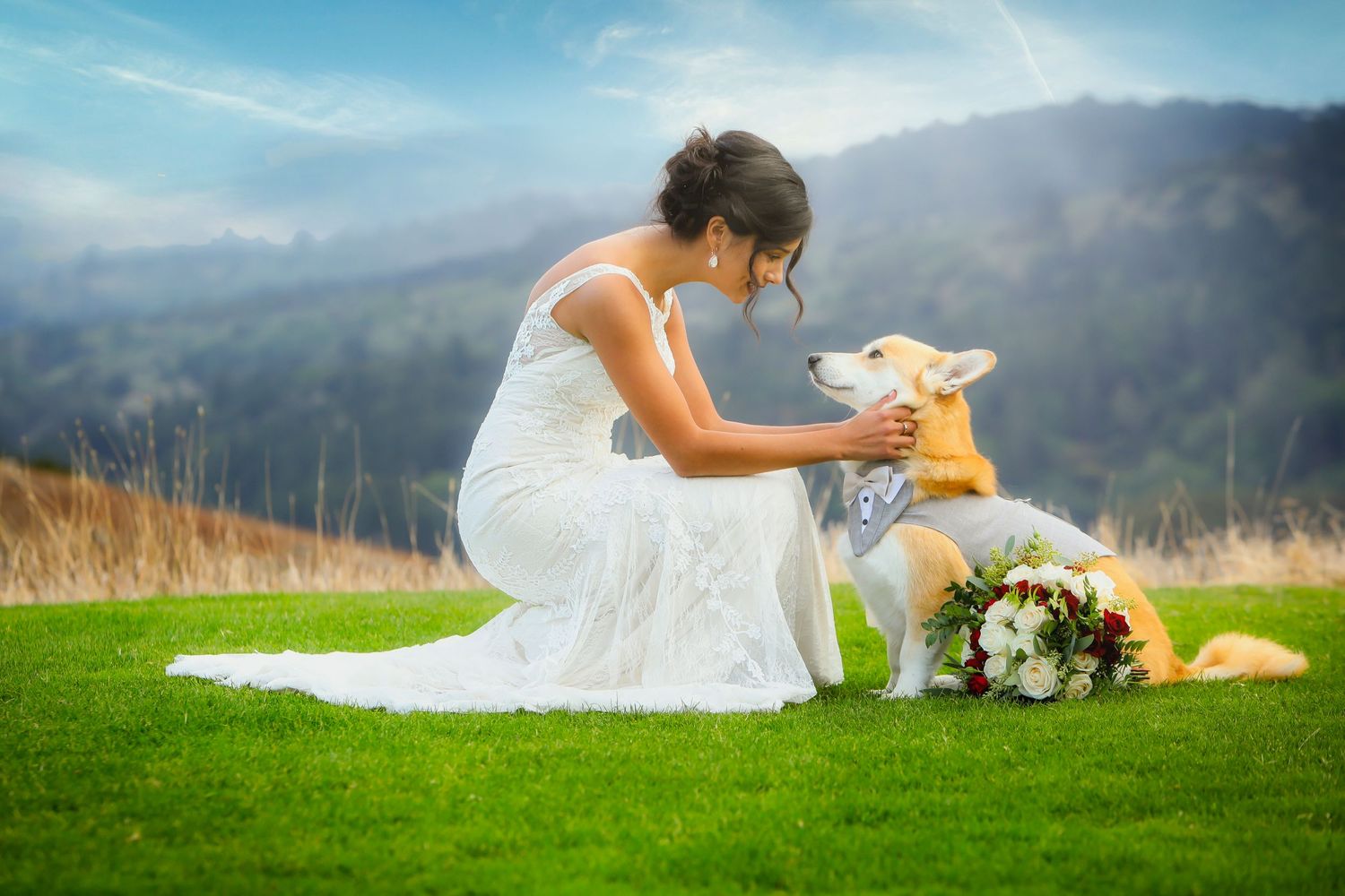 Bride in white dress kneeling on grass with yellow lab dog against mountain backdrop.