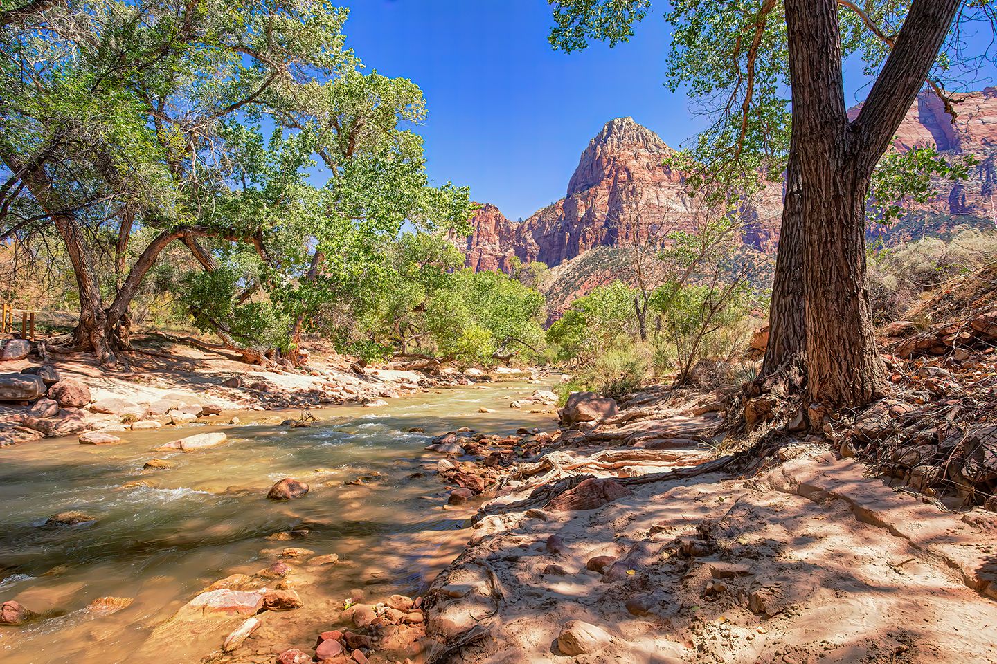Virgin River flowing beneath leafy trees toward towering red sandstone cliffs in Zion National Park, Utah.