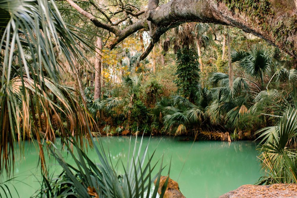 Florida Springs Adventures // Green Springs, Green Springs Park