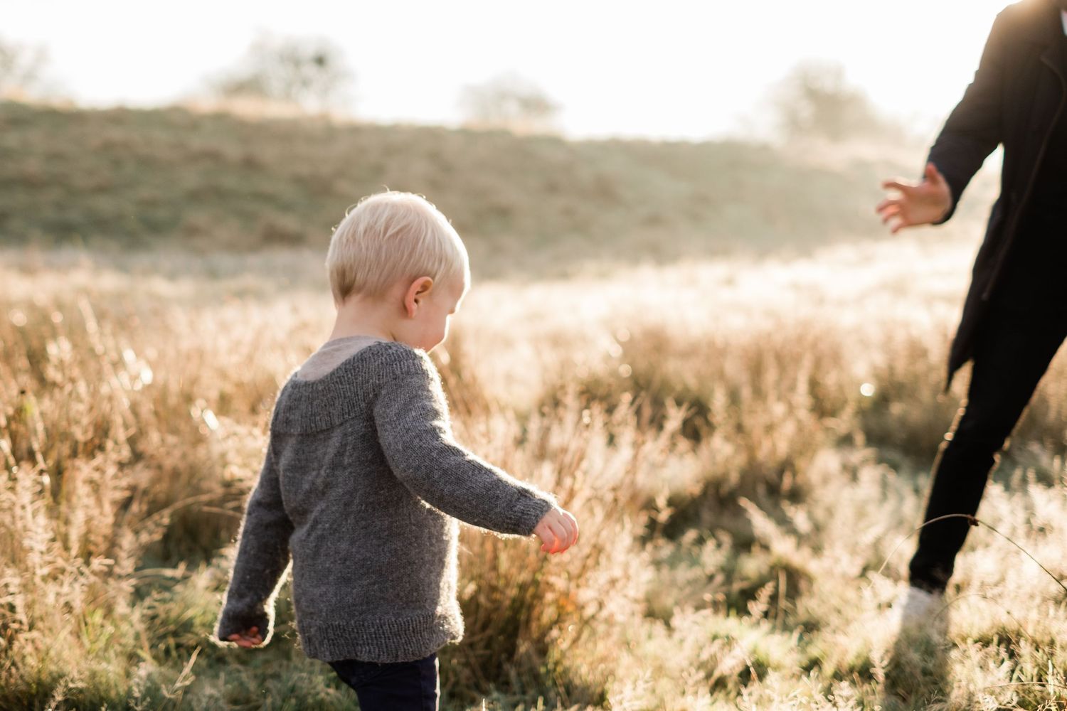 Small child walks through golden sunlit field at sunset.